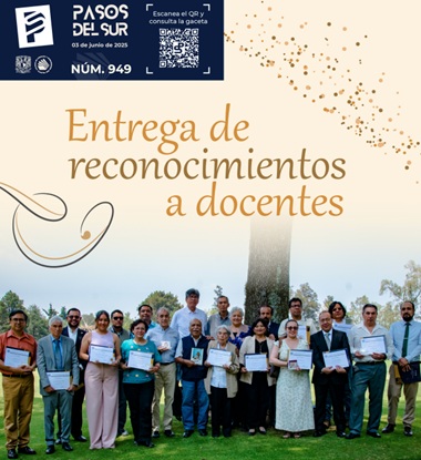 Pasos 949